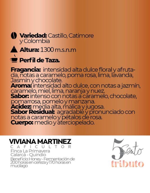 e-5sento-tributo-viviana-martinez-90,5-cafe-especial